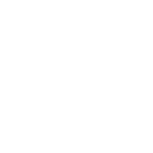 Fundiert Icon